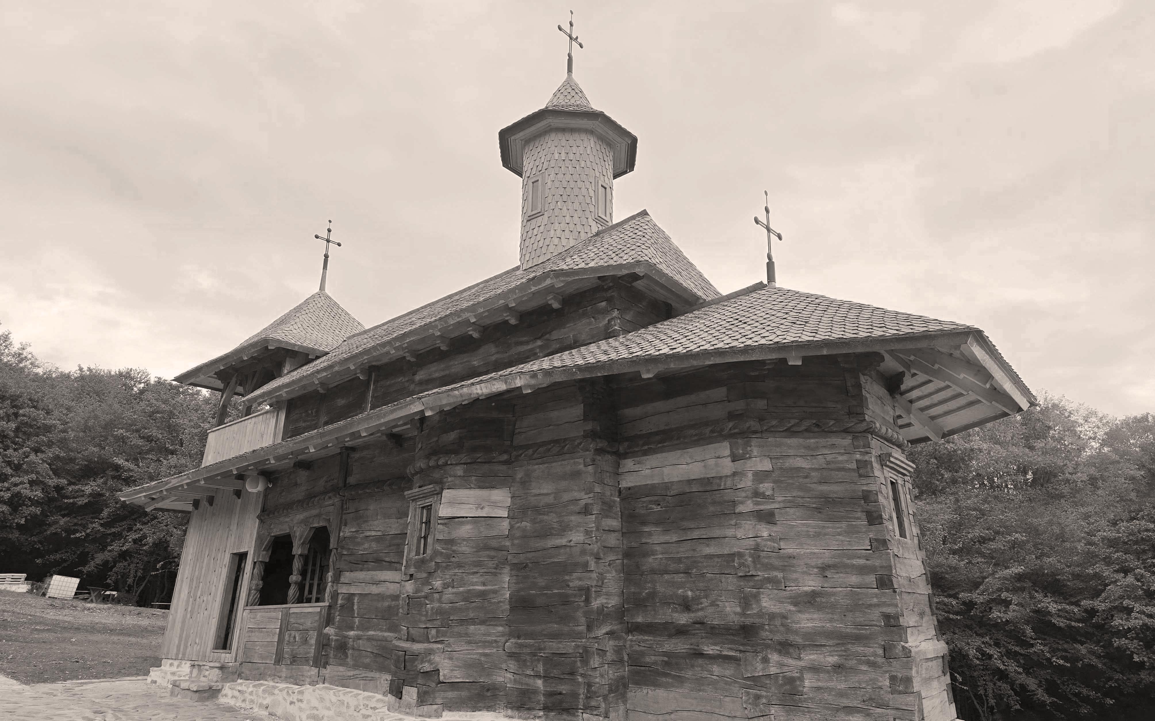 Biserica veche de lemn „Sf Dumitru”, Botosana